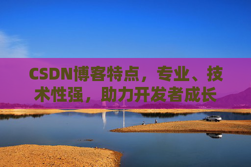 CSDN博客特点，专业、技术性强，助力开发者成长